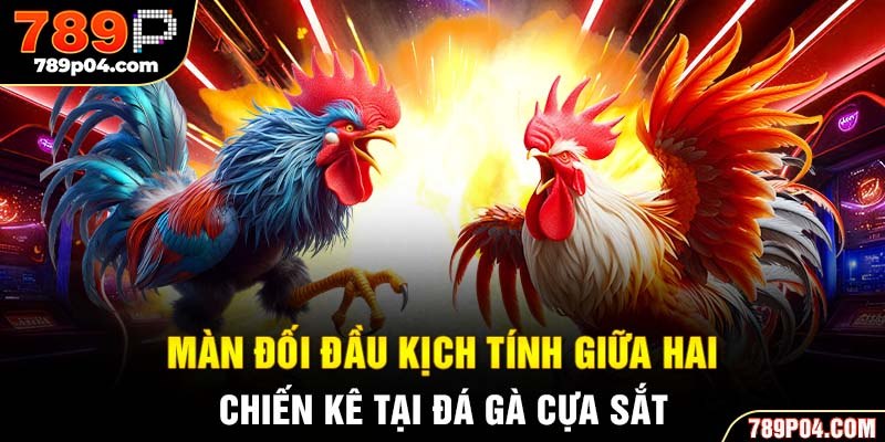 Màn đối đầu kịch tính giữa hai chiến kê tại đá gà cựa sắt